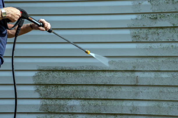 Professional Pressure Washing in Perry, LA