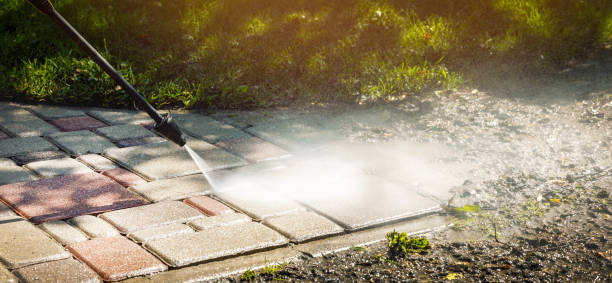 Best Animal Enclosure Cleaning  in Perry, LA